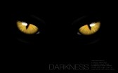 24876900-cat-eyes-in-darkness